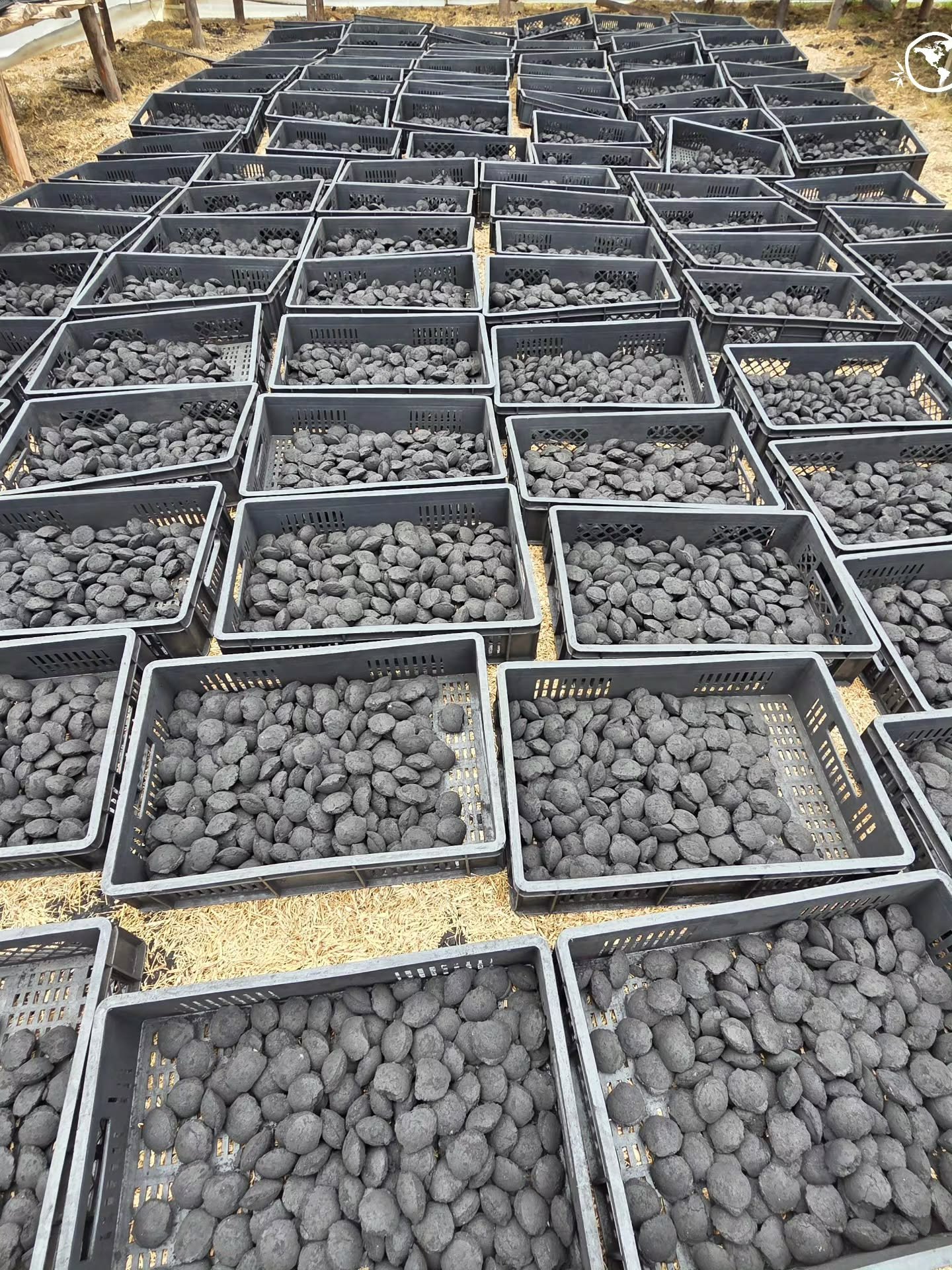 Pillow-shaped charcoal briquettes drying in outdoor crates