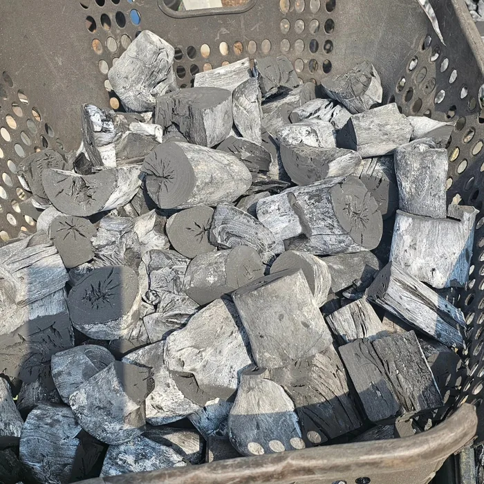 Mangrove charcoal pieces in a basket, hand for scale