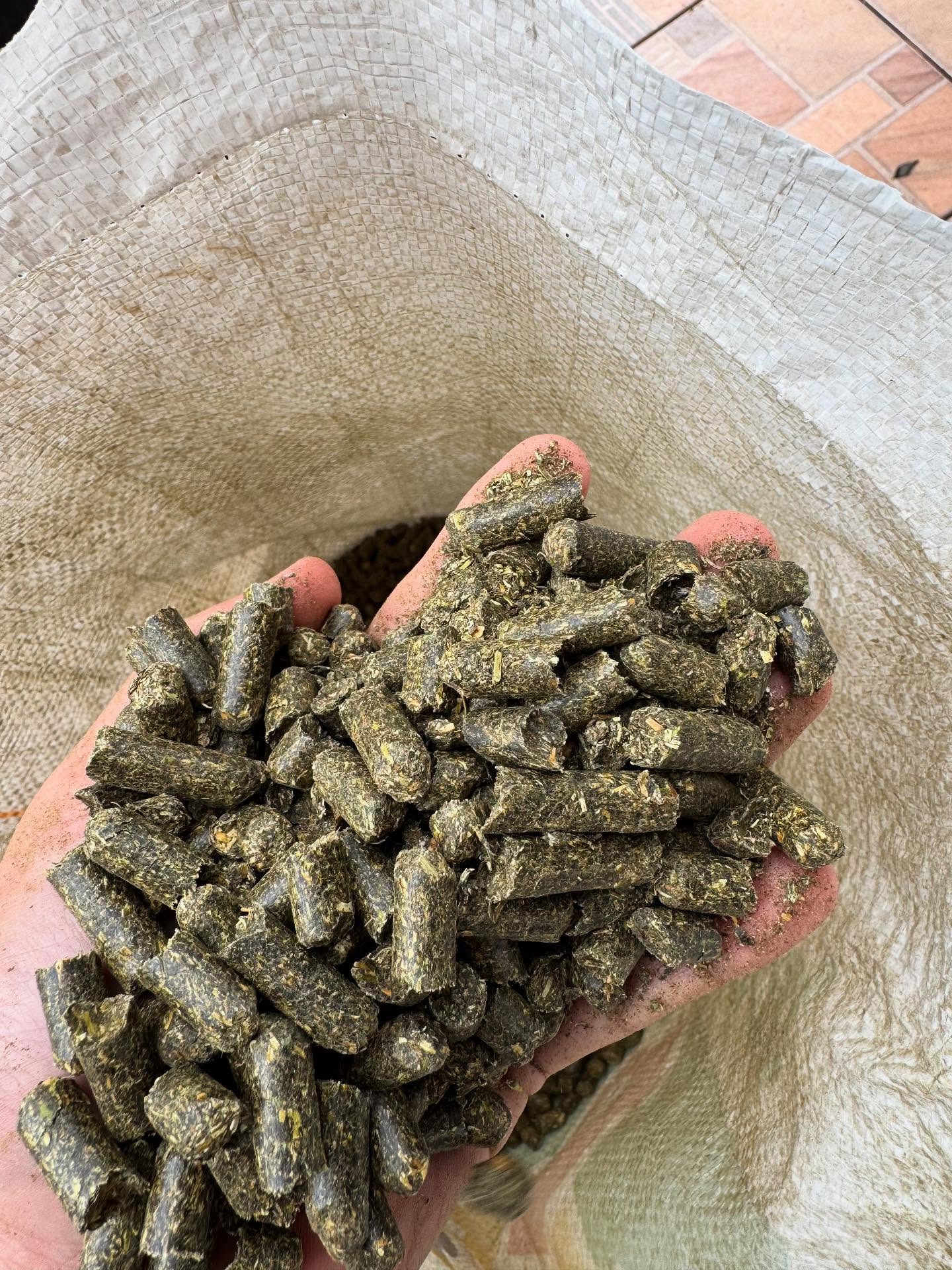 Handful of sunflower husk pellets close-up